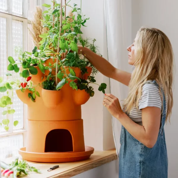 Potager de balcon - 4,5L