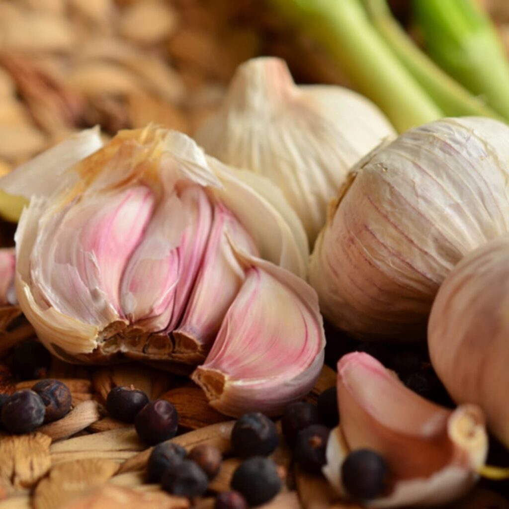 Ail : légume printemps