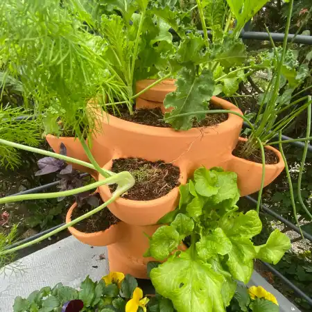 Vertika, le potager composteur qui tient sur un balcon - fleursdubien.fr