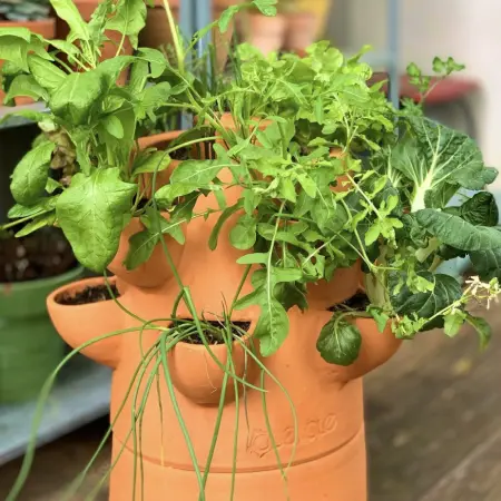 Composteur de Jardin de 115 gallons, bac à Compost de Grande capacité de  400 L, Baril de Compost de déchets Alimentaires surdimensionné, Engrais