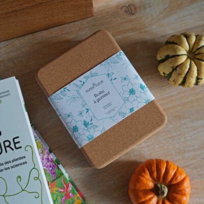 Abonnement 4 box de plants de saison