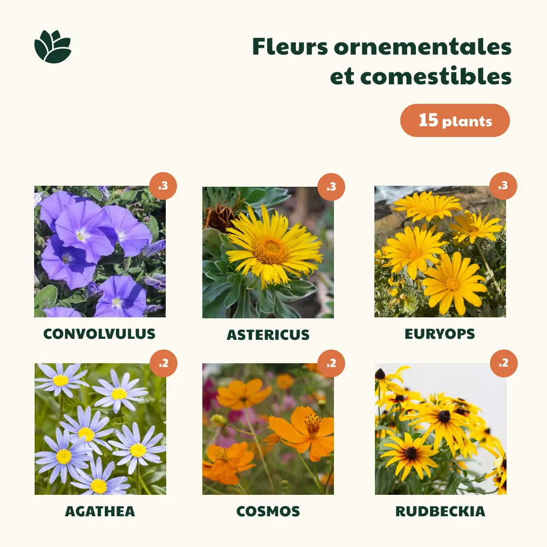 Plants fleurs décoratives et comestibles - Ceercle