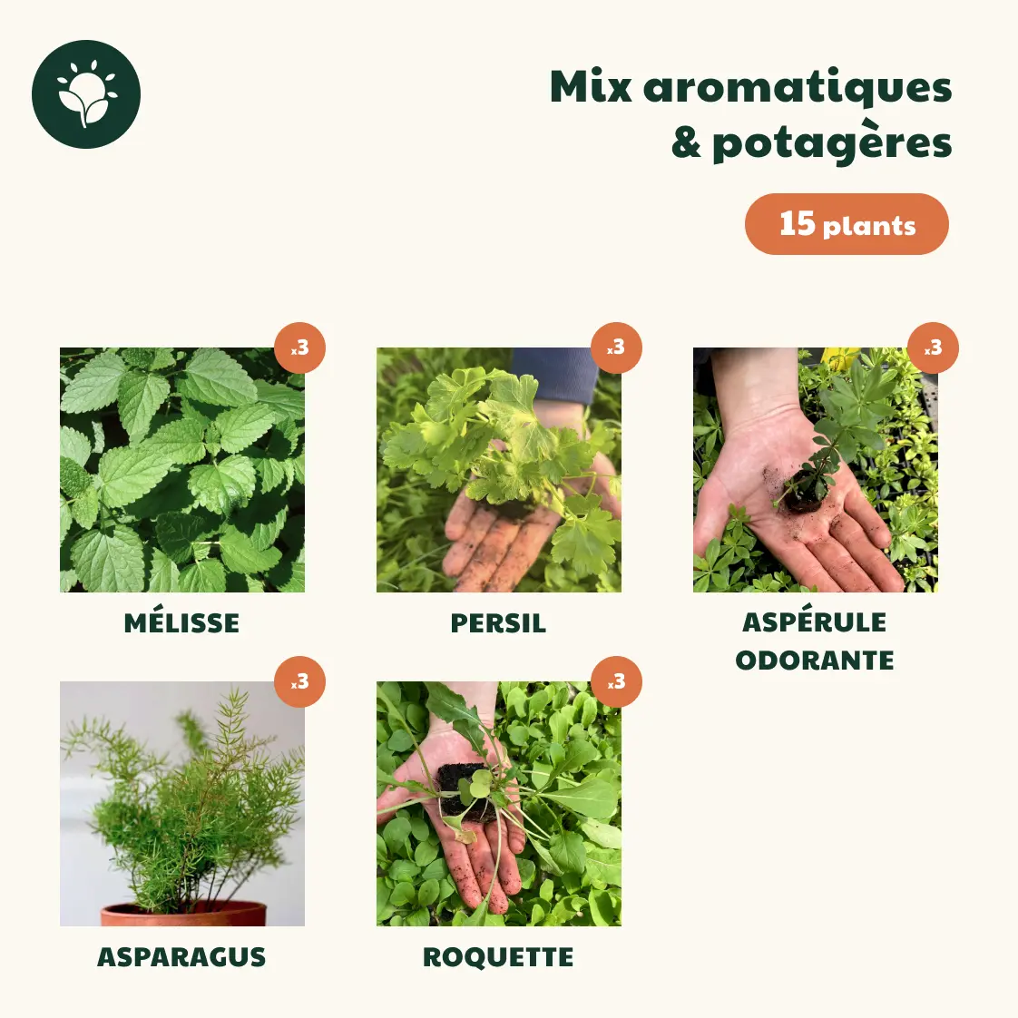 mix ombre printemps 15 plants