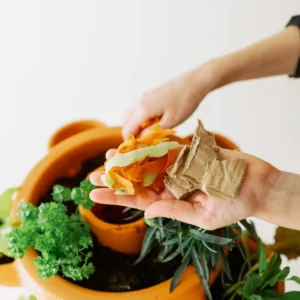 6 conseils pour bien démarrer son lombricomposteur Ceercle
