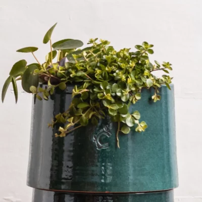 Pot de fleur composteur 3L émaillé - Vert foncé