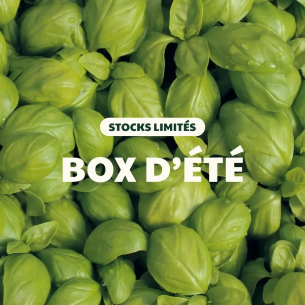 Box d'été