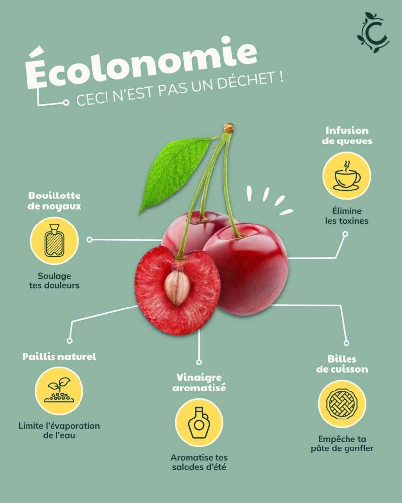 5 façons de recycler les noyaux et queues de cerises