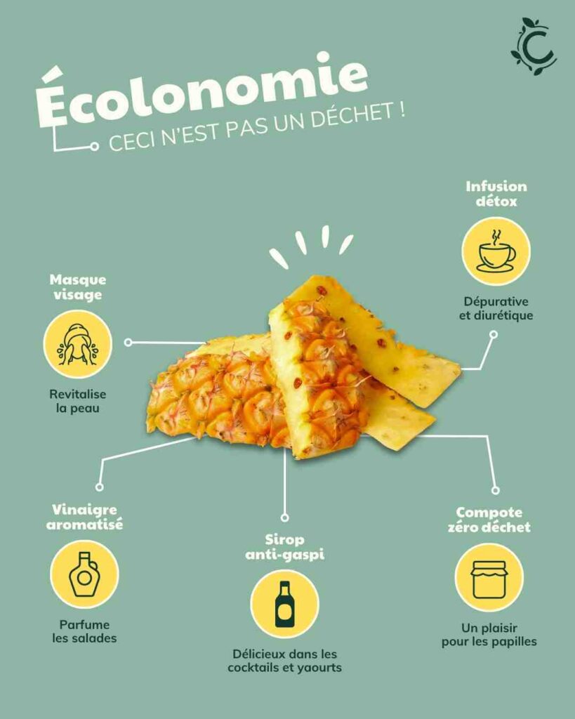5 façons de recycler la peau d'ananas