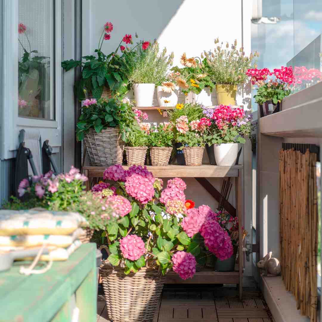 Étagère de plantes balcon