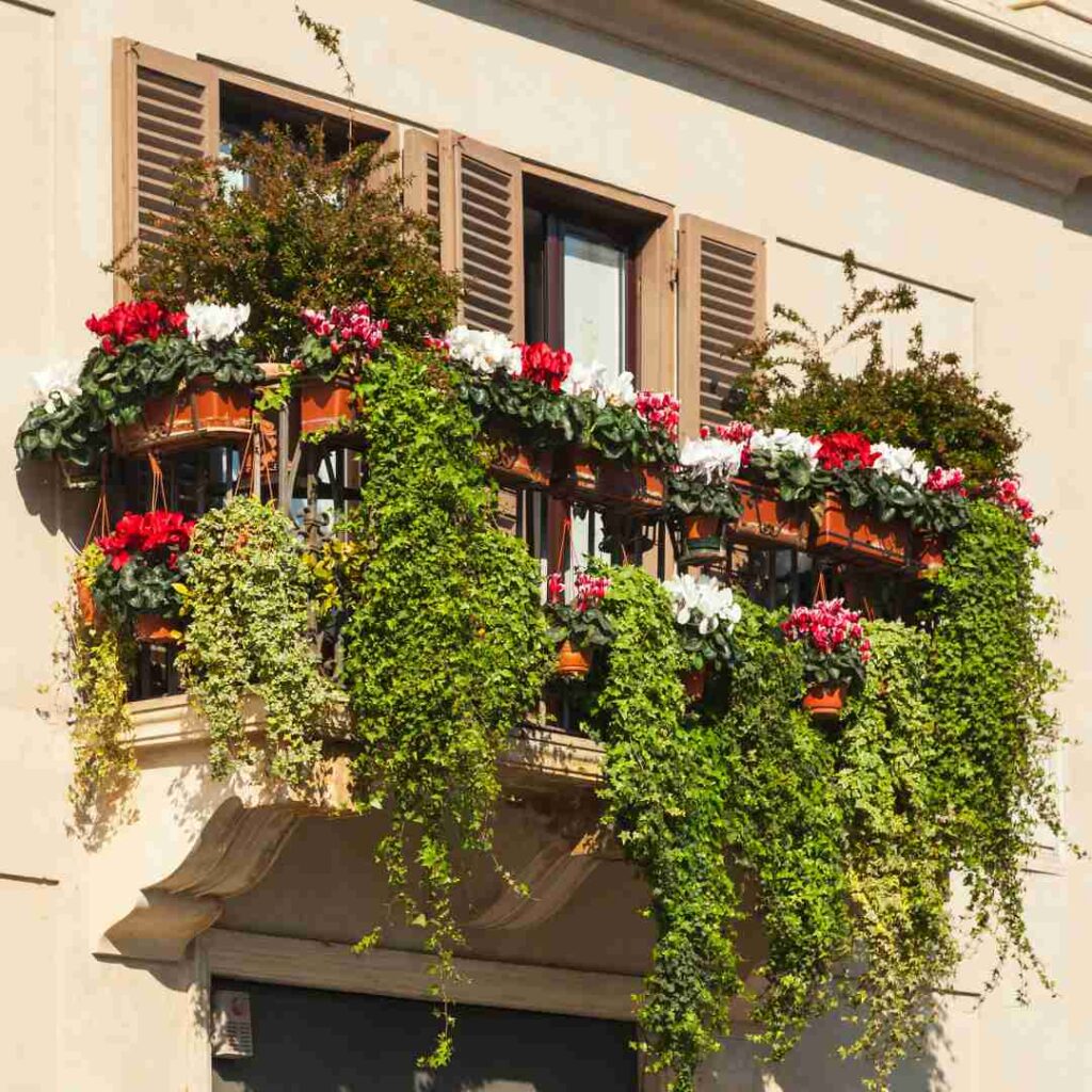 Jardinières balcon terrasse