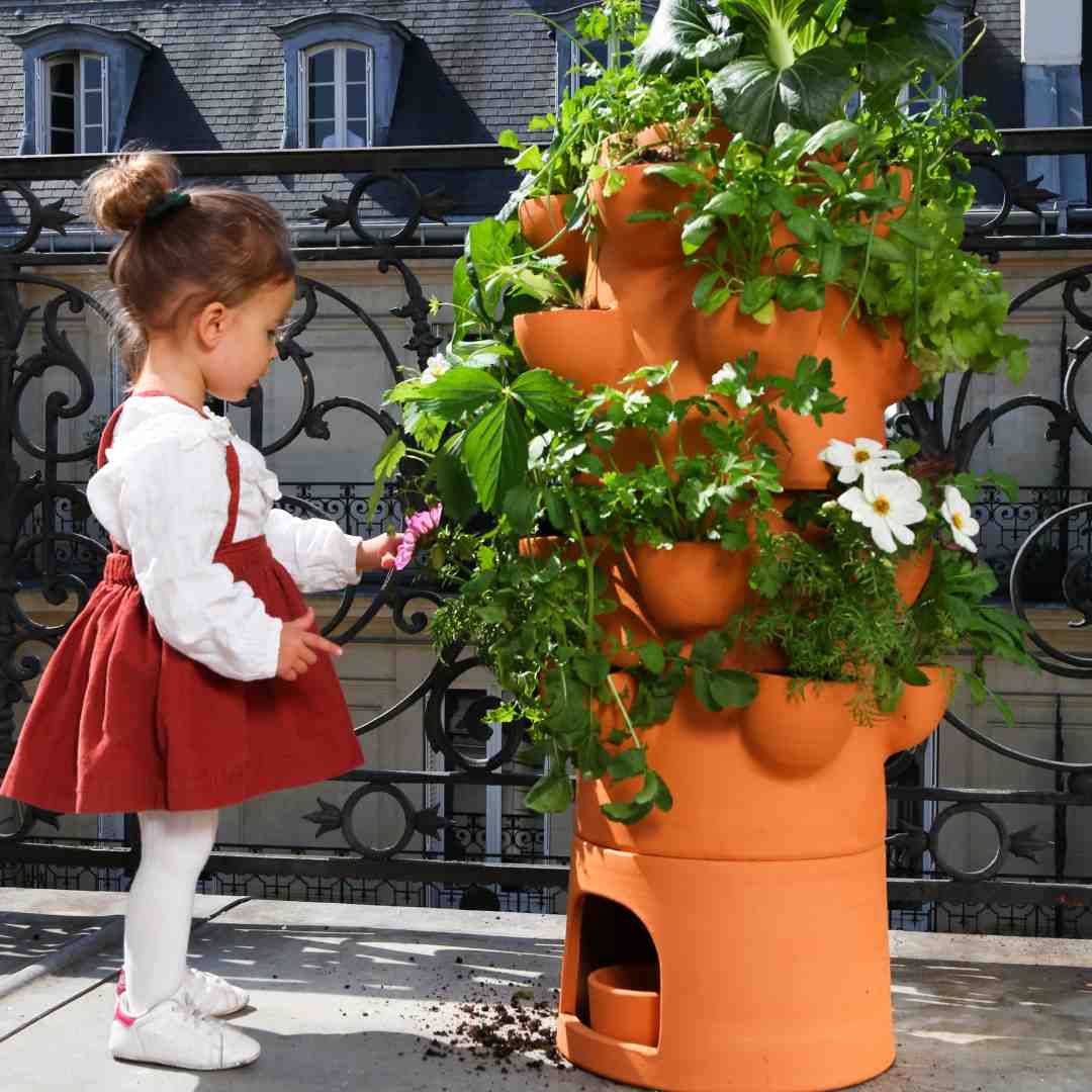 Cultiver un potager sur sa terrasse