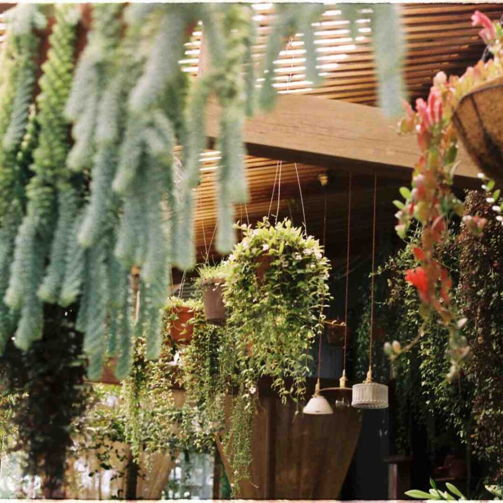 Pots suspendus terrasse