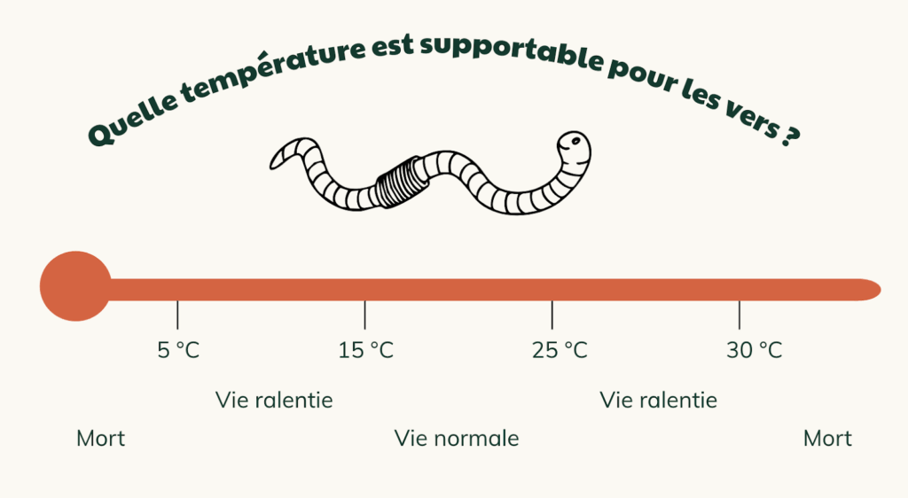 Température vers de compost