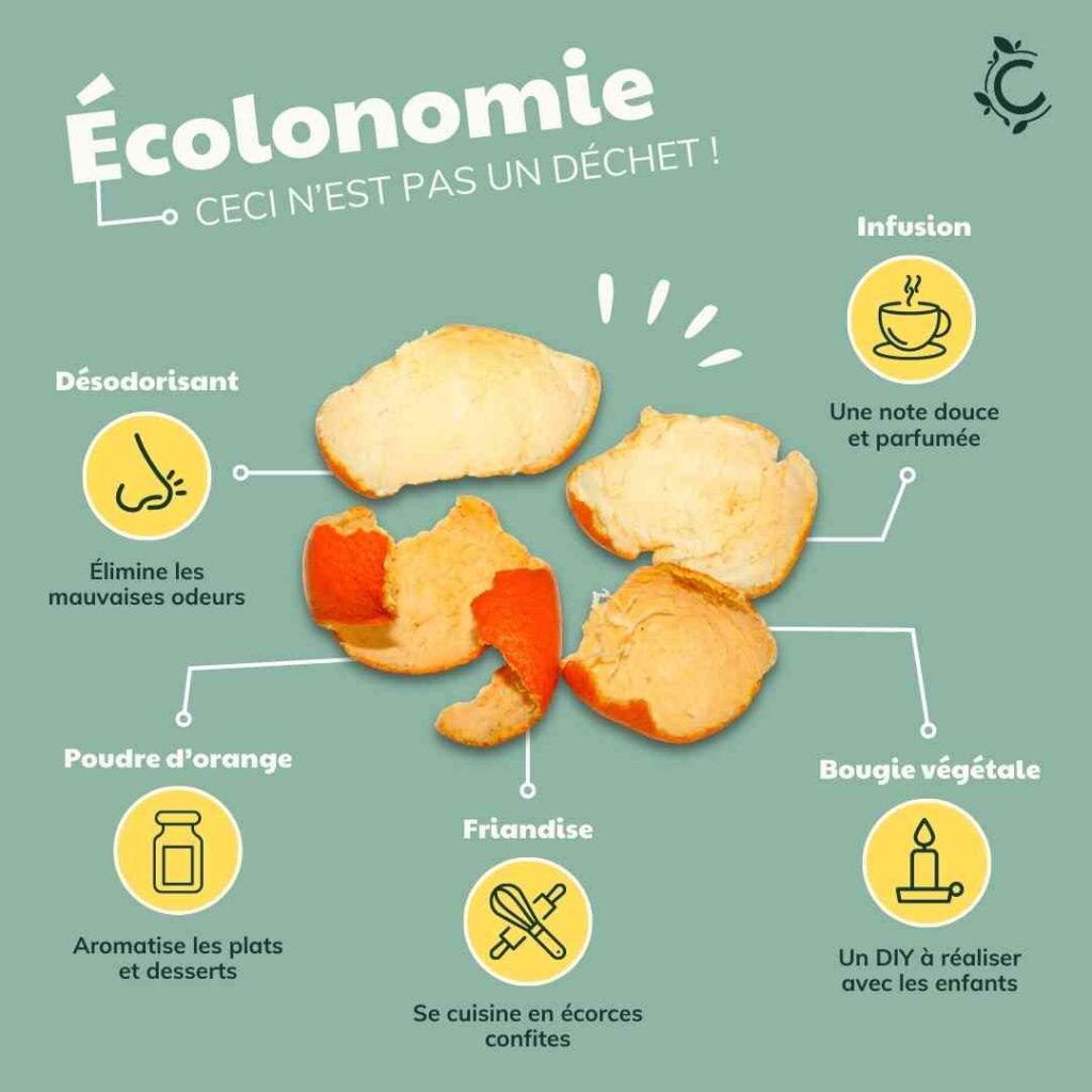 Comment recycler la peau des oranges